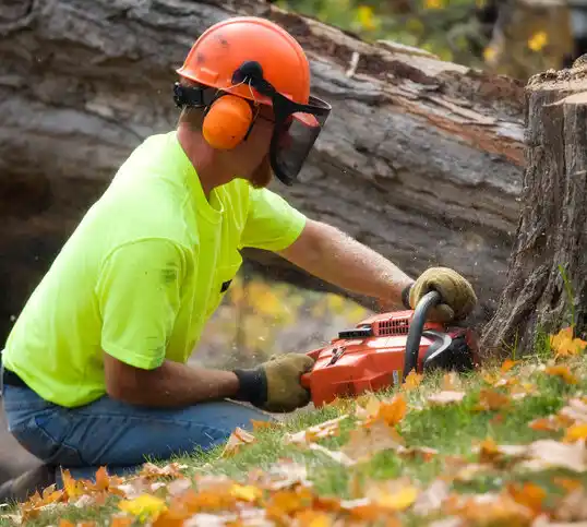 tree services Crenshaw